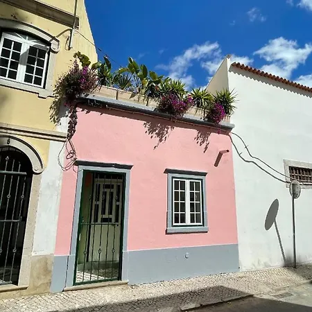 Casa Da Selva